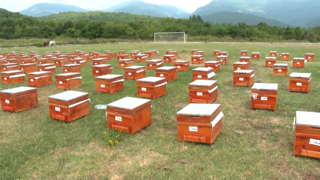 TİKA'dan Kuzey Makedonya'daki arıcılara destek
